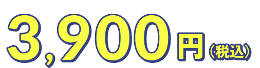 3,900円（税込）