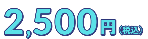 2,500円（税込）